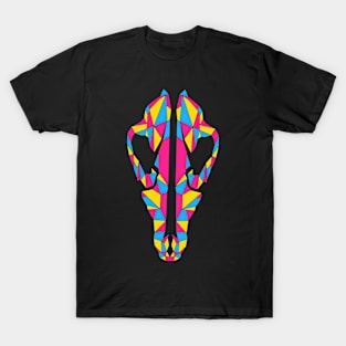 \\PANSEXUAL SKULL// T-Shirt